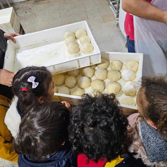 Activité boulangerie pour les classes primaire