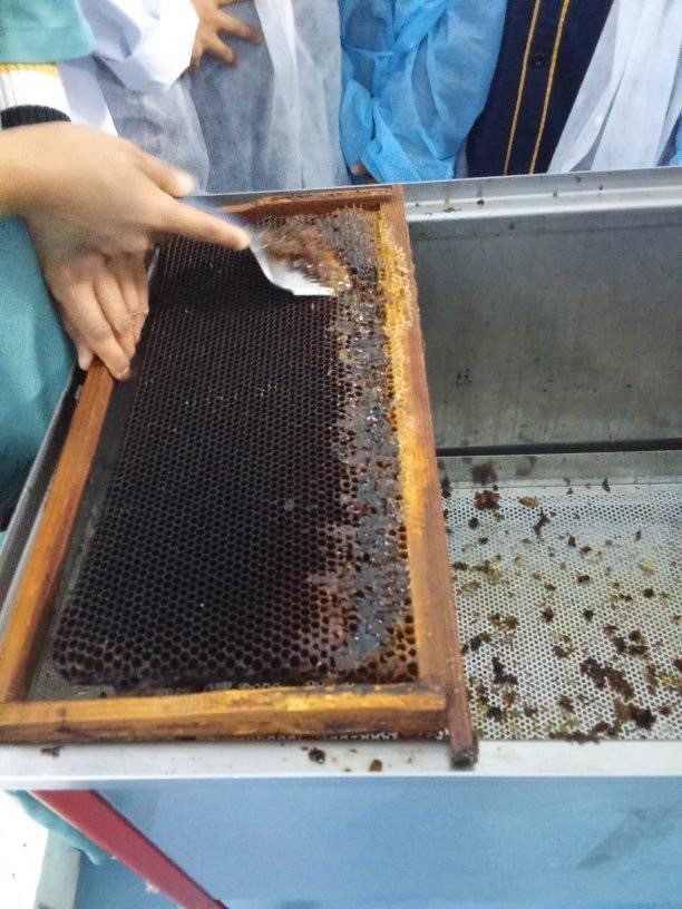 visite maison miel - école Laghmani