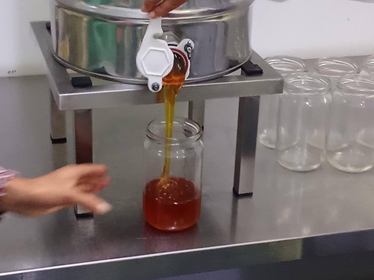 visite maison miel - école Laghmani