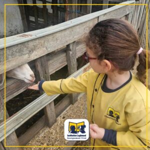 Sortie de classe maternelle "Ma Petite Ferme" - Insitution Laghmani