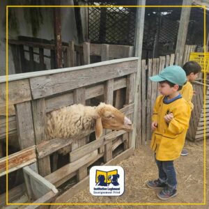 Sortie de classe maternelle "Ma Petite Ferme" - Insitution Laghmani
