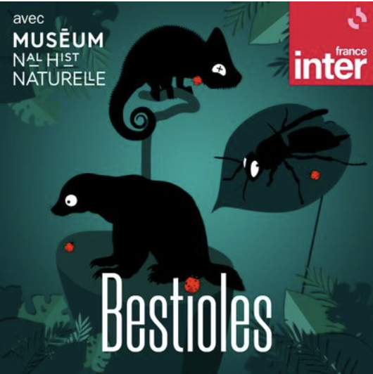 Podcast les bestioles